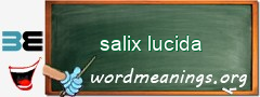 WordMeaning blackboard for salix lucida